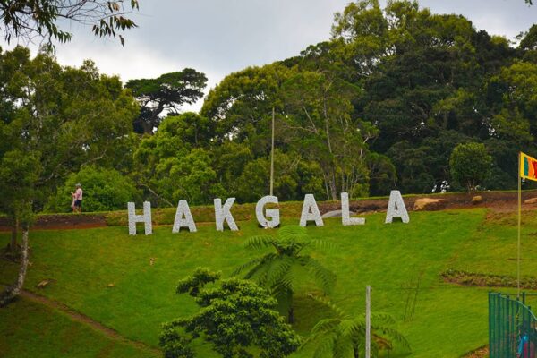 Hakgala Botanical Garden